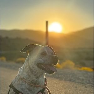 Meet your Posher, Joseph